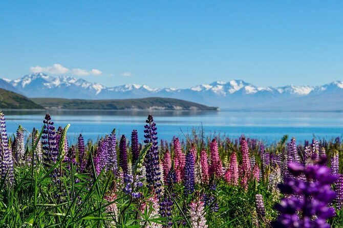 Lake Tekapo to Mt Cook One-Way Small Group Tour - Exploring the Lake Tekapo to Mt Cook One-Way Small Group Tour