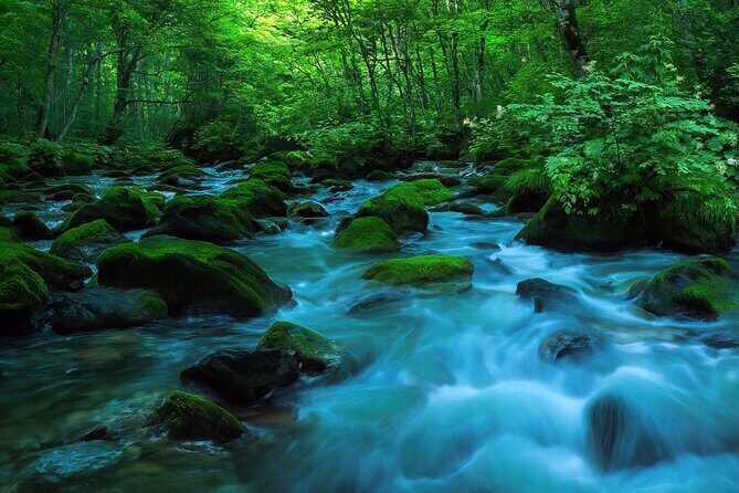 Lake Towada Cruise and Oirase Gorge Drive with Hakkoda Ropeway - Good To Know