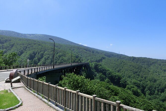 Lake Towada Cruise and Oirase Gorge Drive with Hakkoda Ropeway - Why Choose This Tour?
