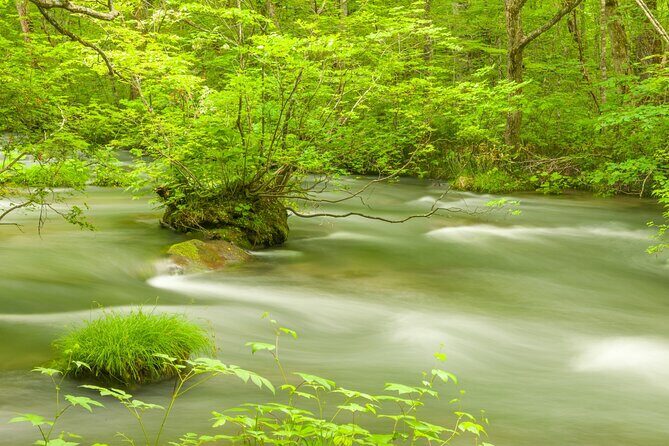 Lake Towada Cruise and Oirase Gorge Drive with Hakkoda Ropeway - FAQ