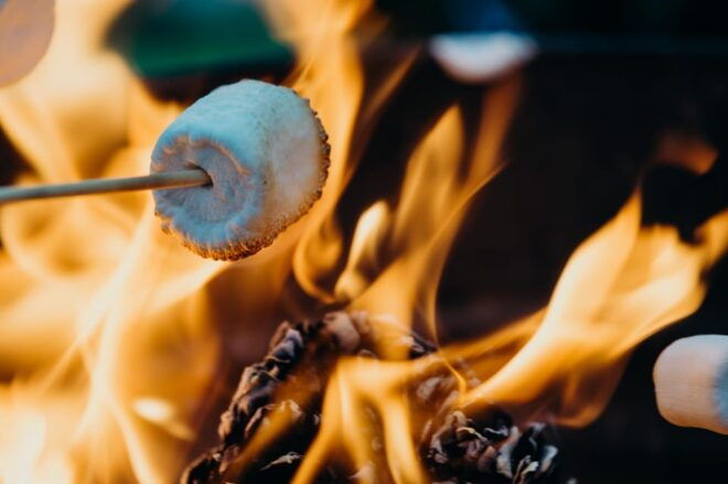 Lake Walk and Campfire Private Tour - Customer Reviews