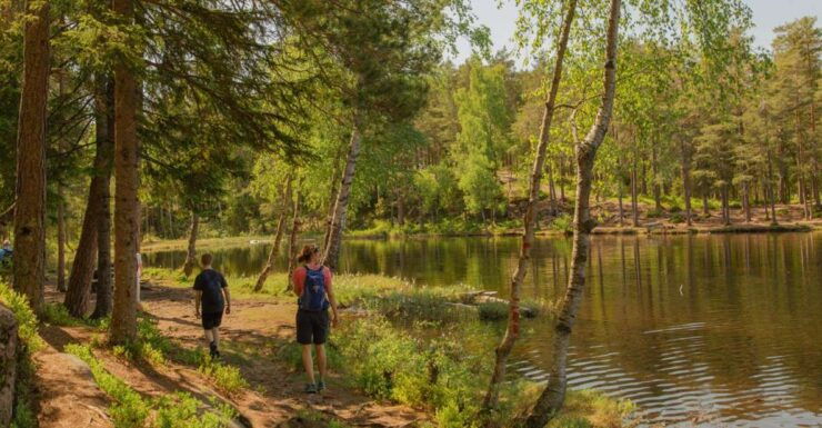 Lake Walk and Campfire - Activity Details