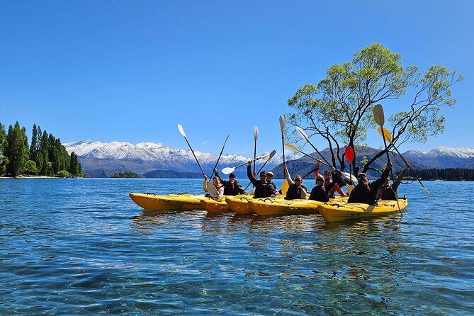 Lake Wanaka Roy's Bay Kayak Tour - Good To Know