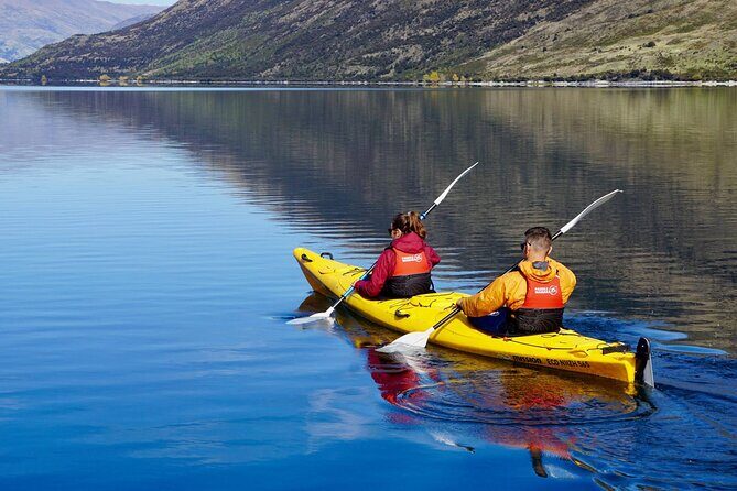 Lake Wanaka Roy's Bay Kayak Tour - Authentic Insights from Reviews