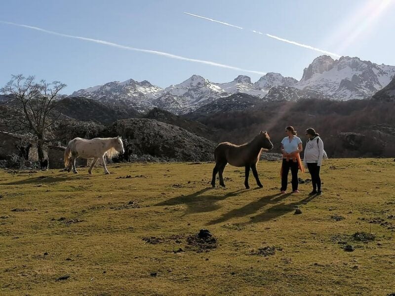 Lakes of Covadonga: Mountain Route for All Audiences - Itinerary Details
