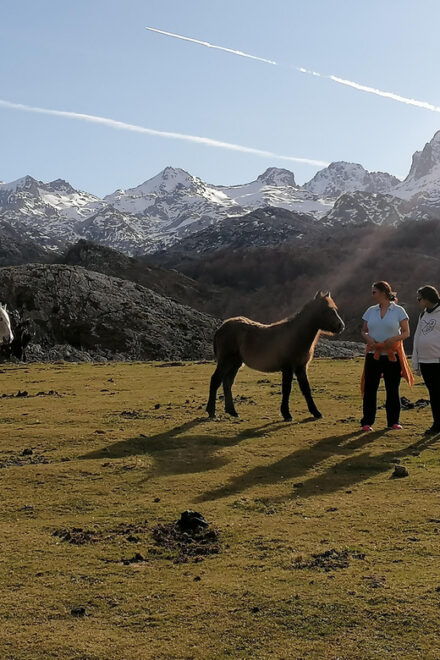 Lakes of Covadonga: Mountain Route for All Audiences - Group Size and Language