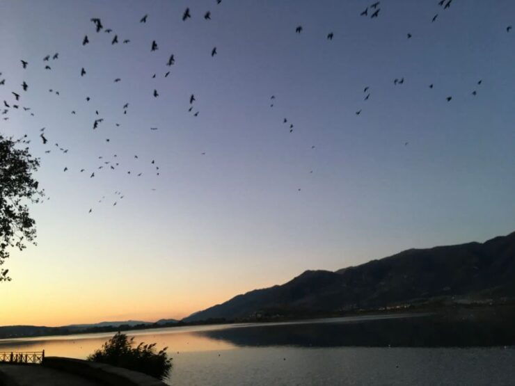 Lakes of Crete: a Tour to Authentic Aqua Paradise - Activity Details and Logistics