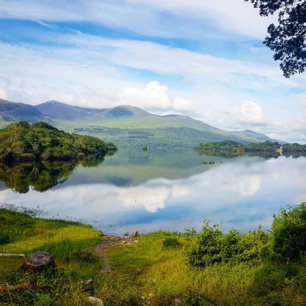 Lakes of Killarney: Boat Cruise - Inclusions and Meeting Point