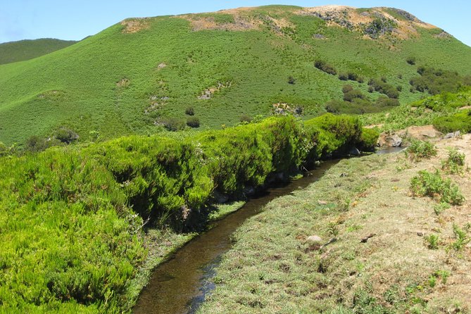 Lakes of Madeira- Alecrim Full Day Walk - Traveler Photos