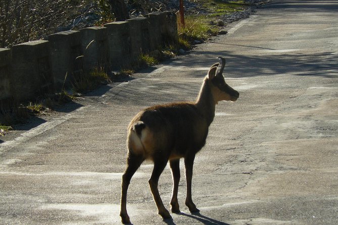 Lakes of Pyrenees Route - Overview of the Lakes of Pyrenees Route