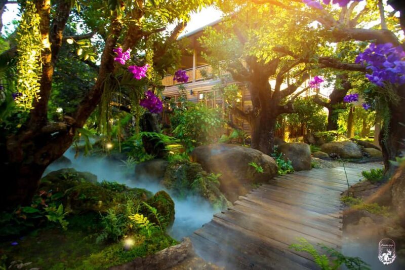 Lalita Cafe & Chiang Rai Temple(White+Blue) from Chiangmai - What to Expect: Practical Details and Tips