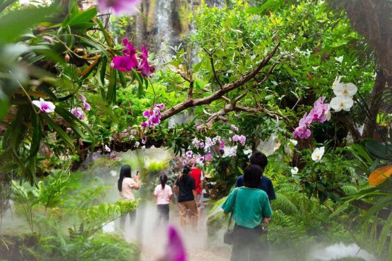 Lalita Cafe & Chiang Rai Temple(White+Blue) from Chiangmai - FAQ