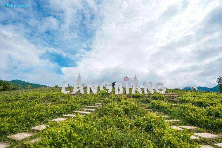 Lâm Đồng: Lang Biang Mountain Ticket - Highlights and Summary