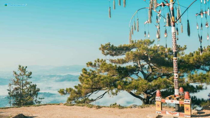 Lâm Đồng: Lang Biang Mountain Ticket - Getting to Lang Biang Mountain