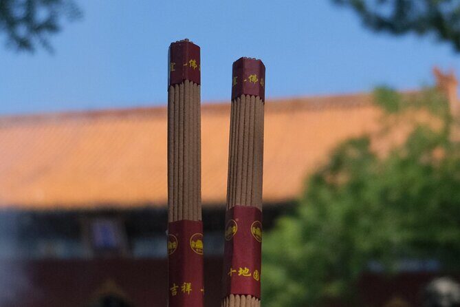 Lama Temple Tour with Tickets: Beijing's Hidden Mystical World - Who Should Consider This Tour?