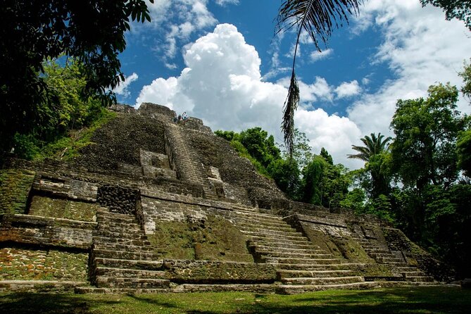 Lamanai Maya Ruin & New River Wildlife Adventure From Belize City - Inclusions and Logistics