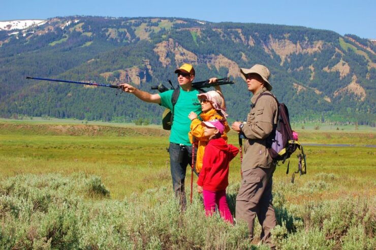 Lamar Valley: Safari Hiking Tour With Lunch - Experience