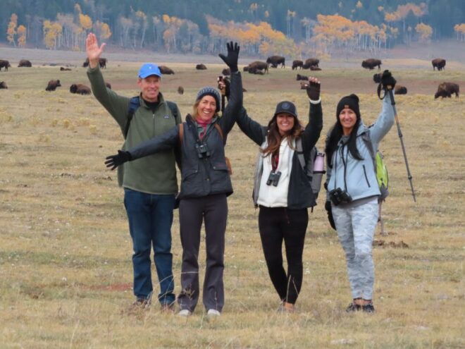Lamar Valley: Safari Hiking Tour With Lunch - Meeting Point Directions (From Cooke City, MT)