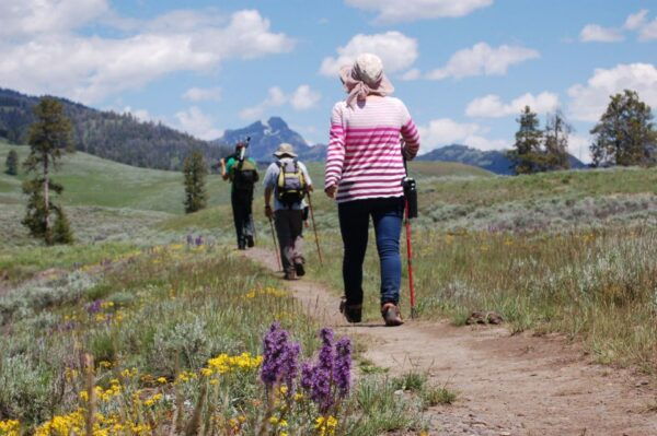 Lamar Valley: Safari Hiking Tour With Lunch - Enjoy a Picnic Lunch