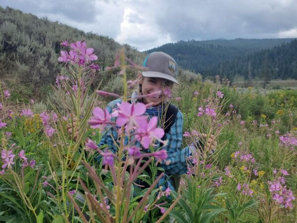 Lamar Valley: Safari Hiking Tour With Lunch - Spotting Wildlife Along the Hike