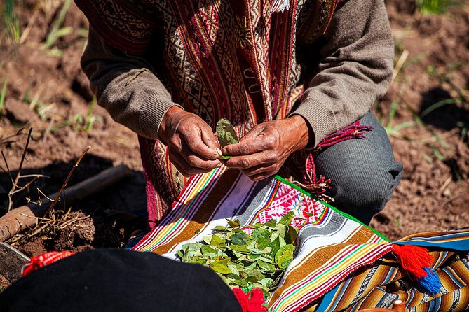 Lamay Community Day (Group Departure) - Traveler Photos of Lamay Community Day