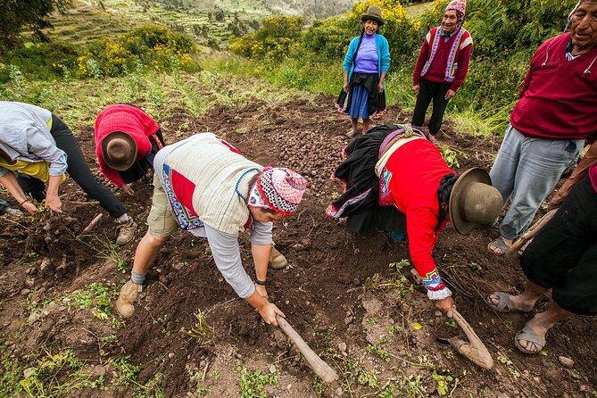 Lamay Community Day (Group Departure) - Reviews of Lamay Community Day