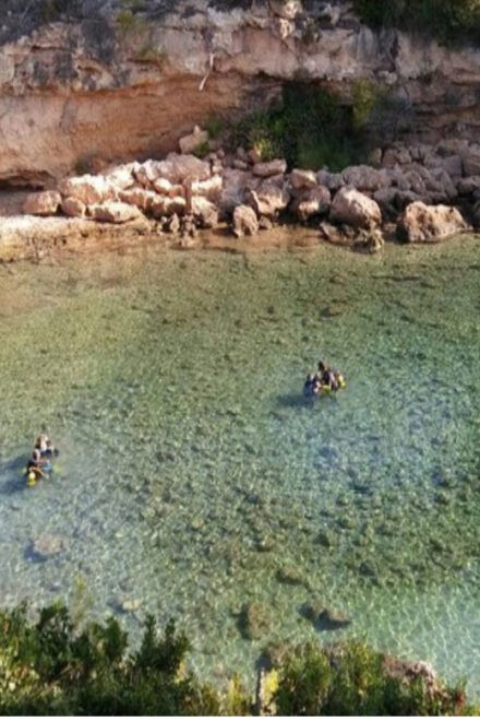 Lametlla De Mar: Sea Diving With Instructor - Experience Highlights