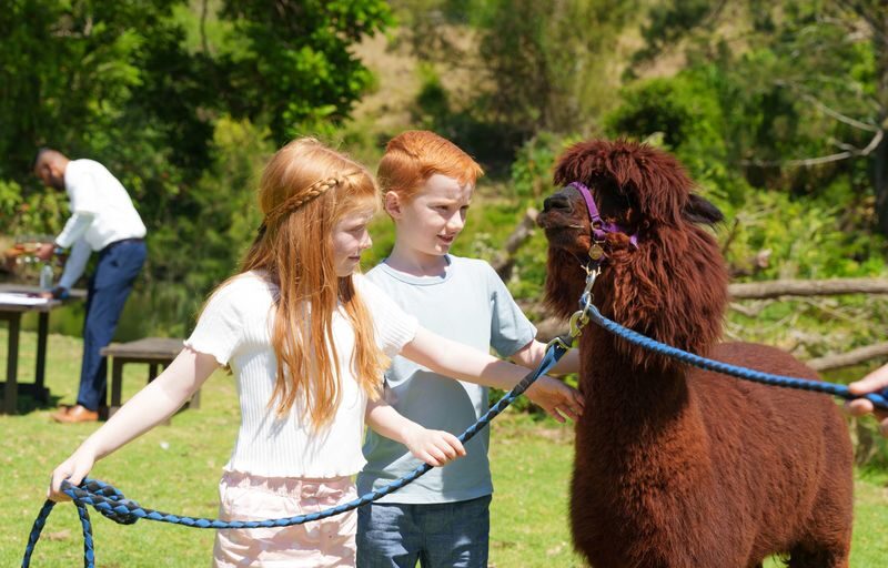 Lamington National Park, OReillys and Vineyard Tour - O’Reilly’s and its mountain stories