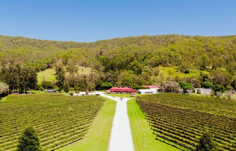 Lamington National Park, OReillys and Vineyard Tour - Rosellas, rainforest plants and wild neighbours