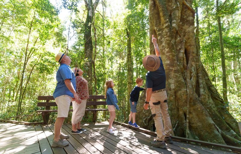 Lamington National Park, OReillys and Vineyard Tour - A vineyard stop, alpacas and a slower finish