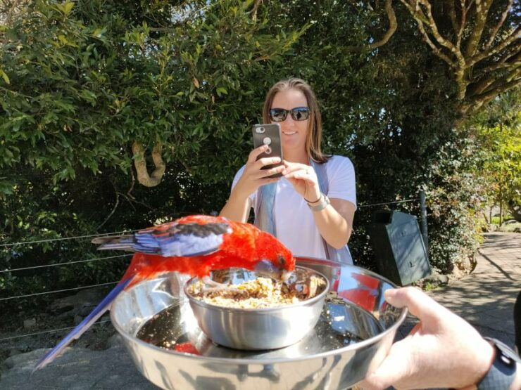 Lamington National Park, O'Reilly's and Vineyard Tour - Live Guided Tour Highlights