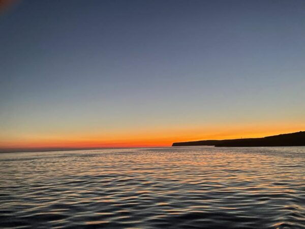 Lampedusa: Sunset Boat Tour With Aperi-Dinner and Dolphins - Customer Feedback