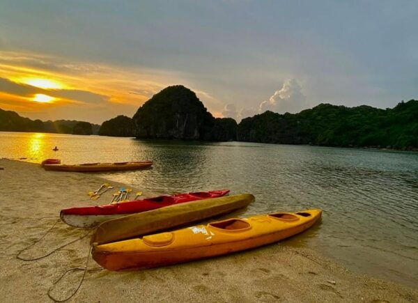 Lan Ha Adventure: Sunset-Plankton Bioluminescent Night Kayak - Frequently Asked Questions