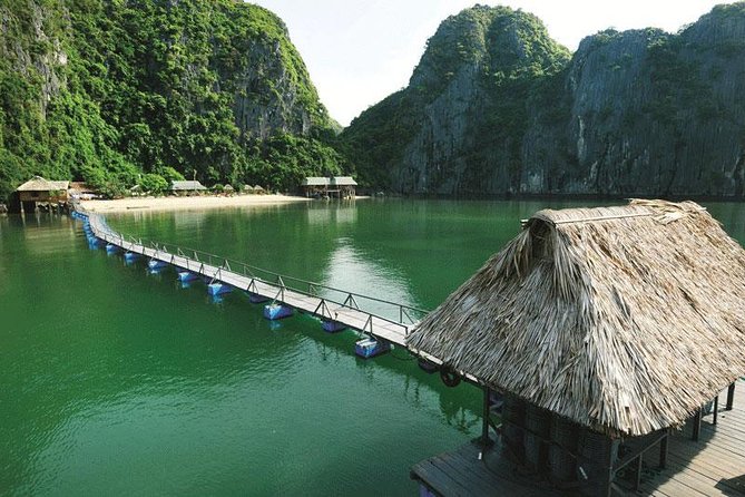 Lan Ha Bay 1 Day Tour - Common Questions