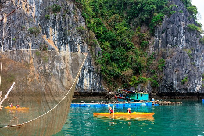 Lan Ha Bay 2 Days 1 Night - Luxury 4*Vspirit Cruise - Review Check Process