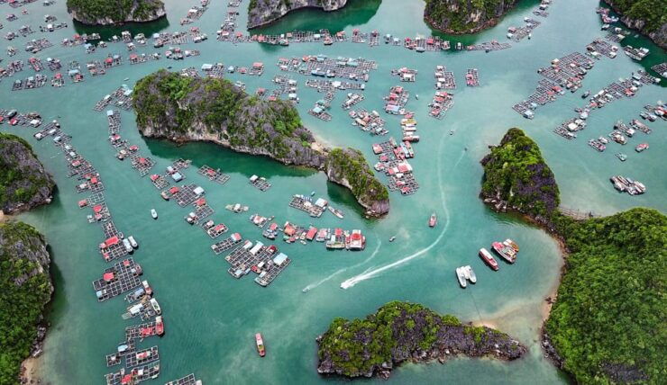 Lan Ha Bay Boutique Cruise 2D1N: Kayaking, Swimming, Biking - Good To Know