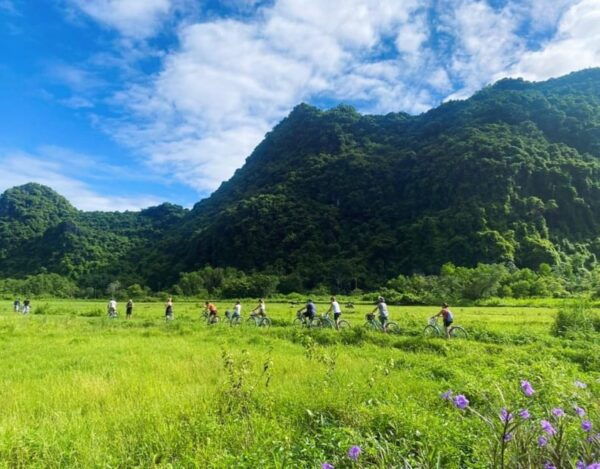 Lan Ha Bay-Cat Ba Island 2D1N Cruise: Meals, Kayaking-Biking - Essential Packing Tips
