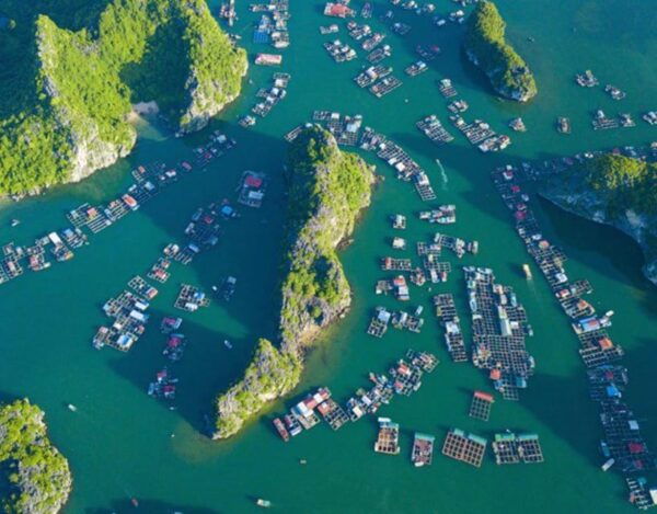 Lan Ha Bay Cruise 2d1n: BBQ Dinner and Ancient Village - Frequently Asked Questions