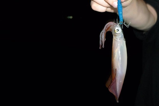 Lan Ha Bay Deluxe Cruise 2d/1n: Kayaking & Swimming at Pristine Places & Meals - Pickup Details