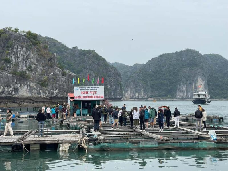 Lan Ha Bay: Exclusive Full-Day Cruise Escape the Crowds - FAQ