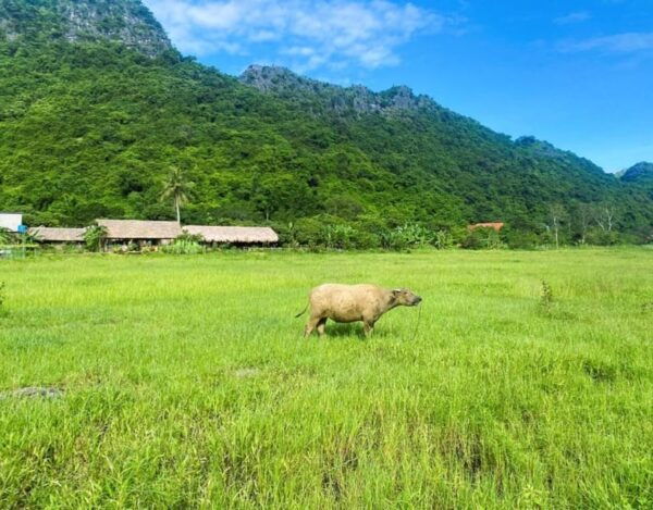 Lan Ha Bay: Kayaking, Biking- Private Canoe From Halong City - Meeting Point and Pick-up Services