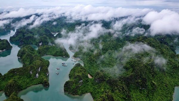 Lan Ha Bay Luxury Day Cruise: Kayak, Water Slides, Jacuzzi - Booking and Cancellation Policy