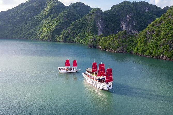 Lan Ha Bay VIP Cruise Day Trip - Hanoi - Hassle-Free Arrangements by Crew