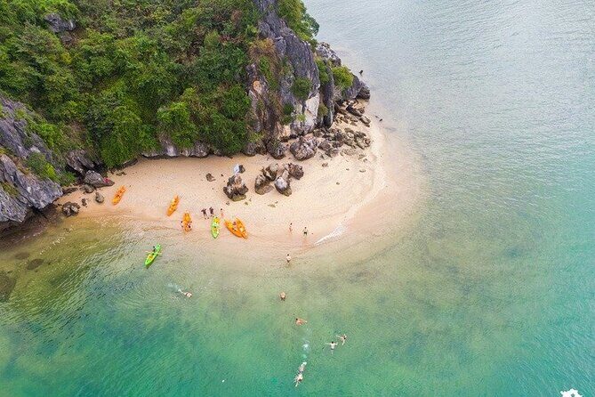 Lan Ha- Ha Long Bay 1 Day Boat Tour From Cat Ba Island with Lunch - Who Should Consider This Tour?