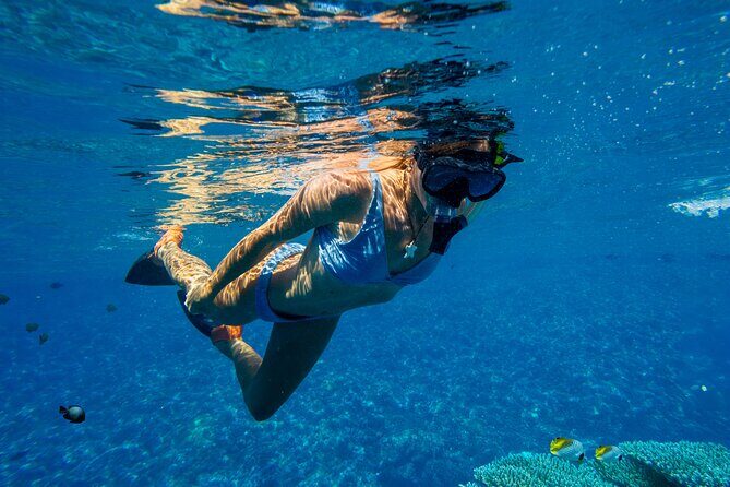 Lana'i Coast Snorkel and Sail - The Sum Up