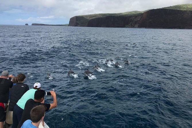 Lanai Snorkel and Dolphin Watch From Maalaea - Snorkeling Instructions and Tips