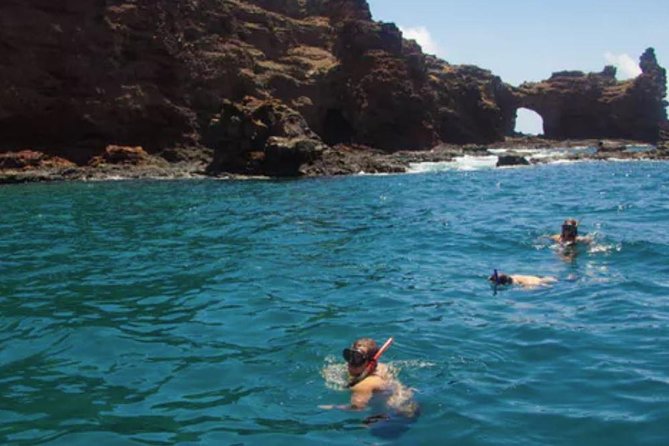 Lanai Snorkel and Dolphin Watch From Maalaea - Marine Life and Coral Reef