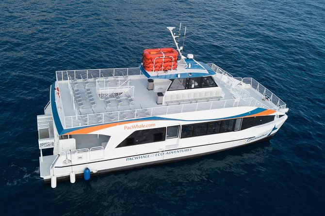 Lanai Snorkel and Dolphin Watch From Maalaea - Common Questions