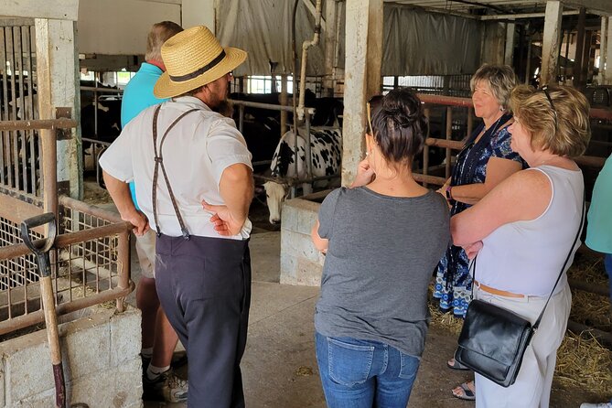 Lancaster County Amish Culture Small-Group Half-Day Tour - Beautiful Countryside and Farms