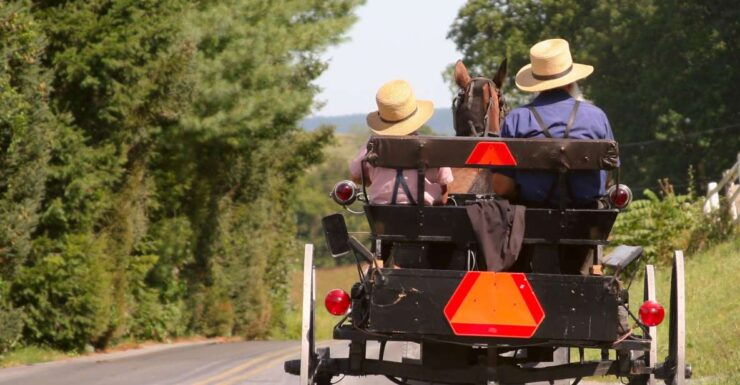 Lancaster County: Amish Farmlands, Museum Tour, Farm Visit - Good To Know